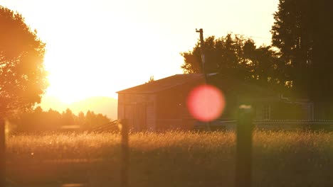 peaceful scenery in the countryside with a farmhouse standing across the field neath the beautiful sun-kissed in new zealand - medium shot