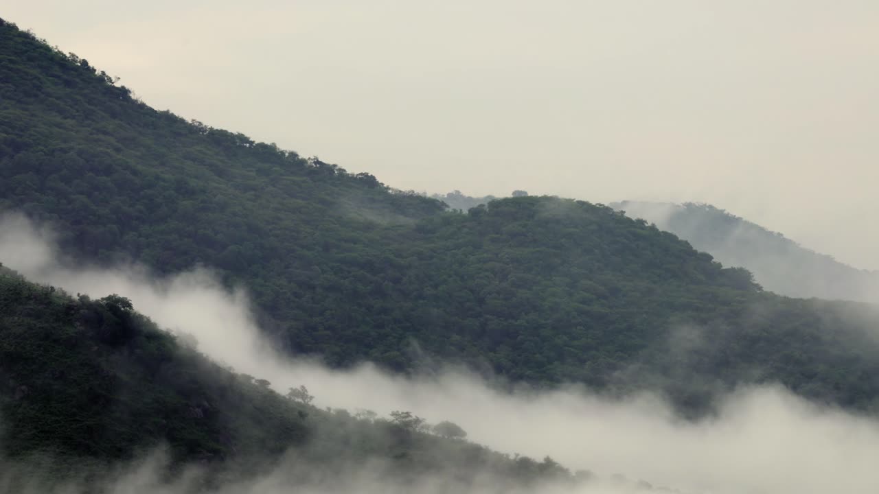 Misty Green Mountains