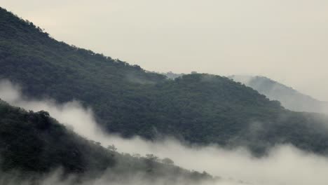misty green mountains