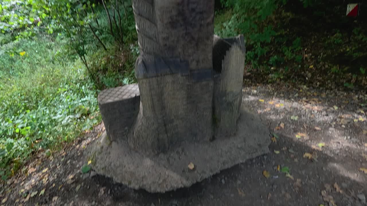 울창 한 초록 숲 에 둘러싸인 나무 구조물