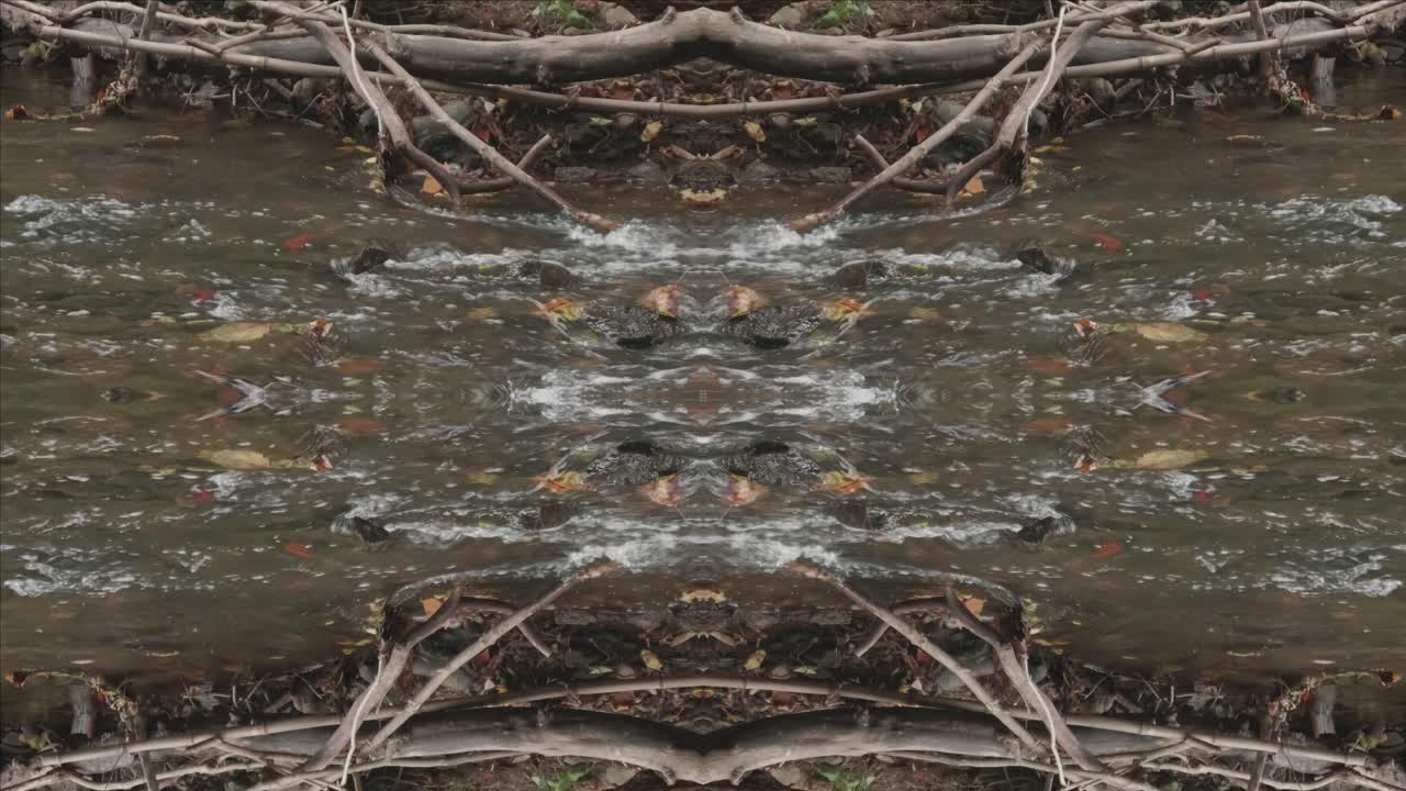 caleidoscopio de tomas de la naturaleza, wissahickon creek