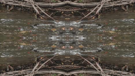 kaleidoscope from nature shots, wissahickon creek