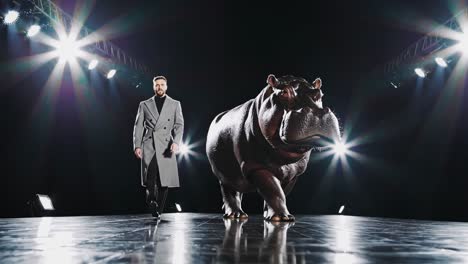 man in a coat walking a hippo on a fashion show stage