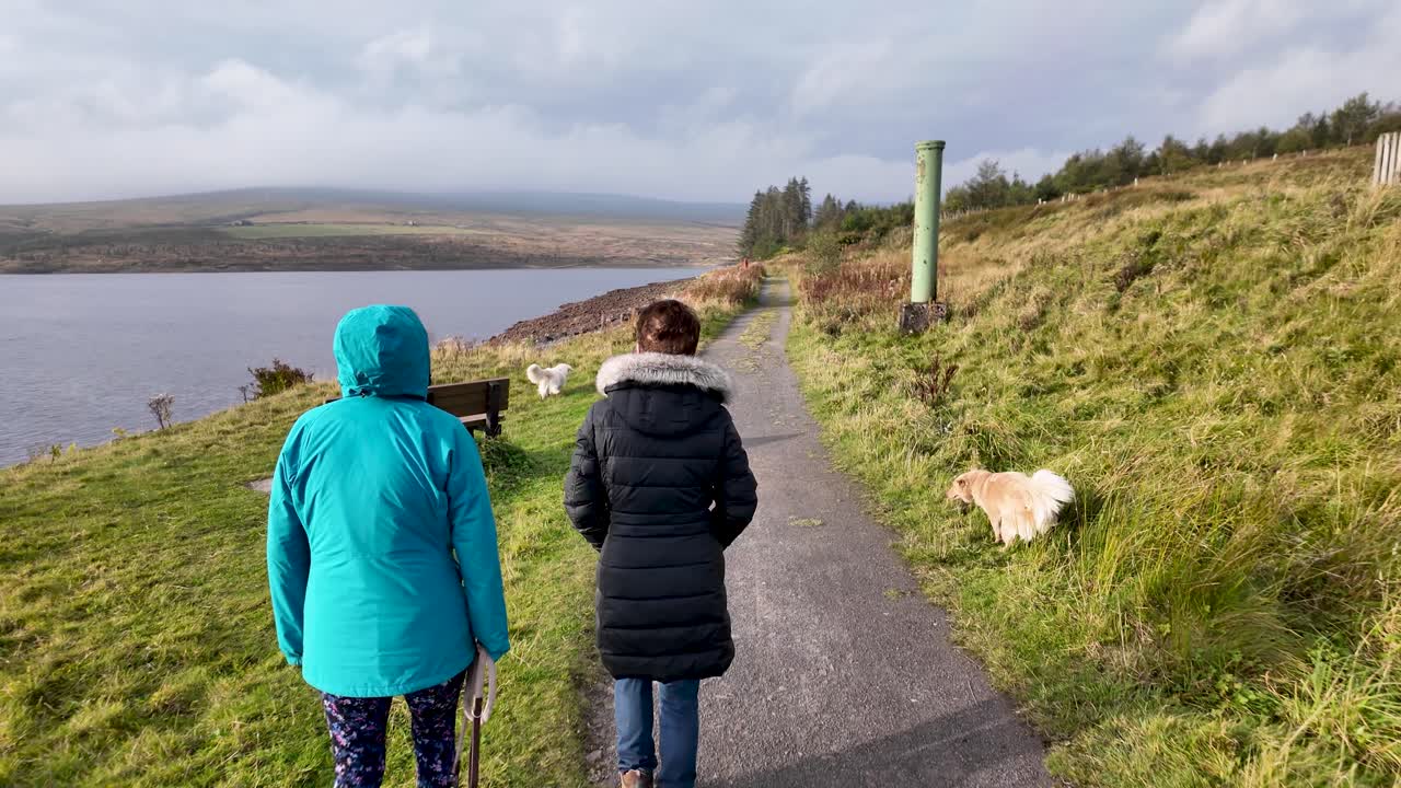 People and dogs walking on a path next to the water, enjoying the peaceful countryside. slow motion shot