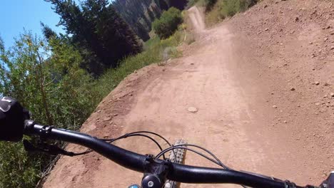 unleashing adventure: biking through thrilling trails