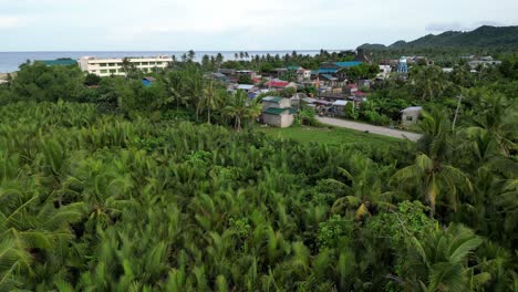 Luftaufnahmen-über-Dem-Kopf-Zeigen-Eine-Drohnenaufnahme-Des-Malerischen-Barangay-Mit-Ruhiger-See-Im-Hintergrund-Und-üppigem-Grün-In-Catanduanes,-Philippinen