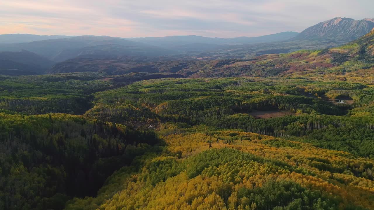 álamos tembloses girando en kebler pass, colorado