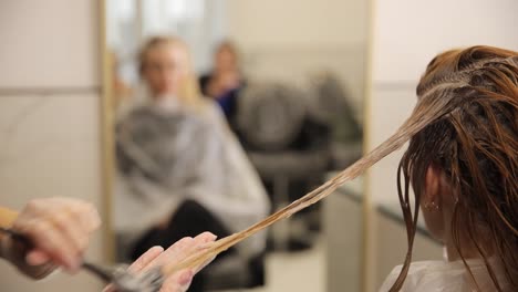 a professional colorist as they apply rich hair dy 4k 2025 08 04 08 55 28 utc (1).mov | adult, barber, barber shop, beauty