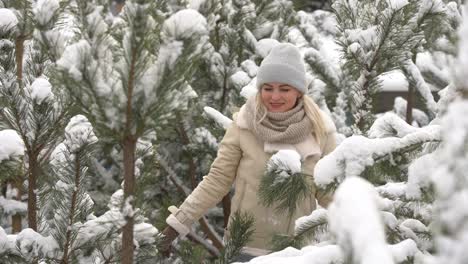 Beautiful-woman-standing-among-snowy-trees-in-winter-forest-and-enjoying-first-snow.-Woman-in-winter-woods.