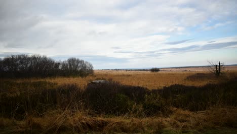 Wolkengebilde-Und-Gras-An-Windigen-Tagen-Im-Zeitraffer-Im-Moorland-In-Hohen-Mooren