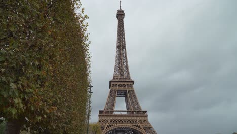 Trees-Planted-in-Champ-de-Mars-near-Eiffel-Tower