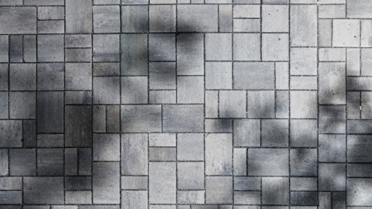 Moving Tree Shadows on Grey Paving Stones