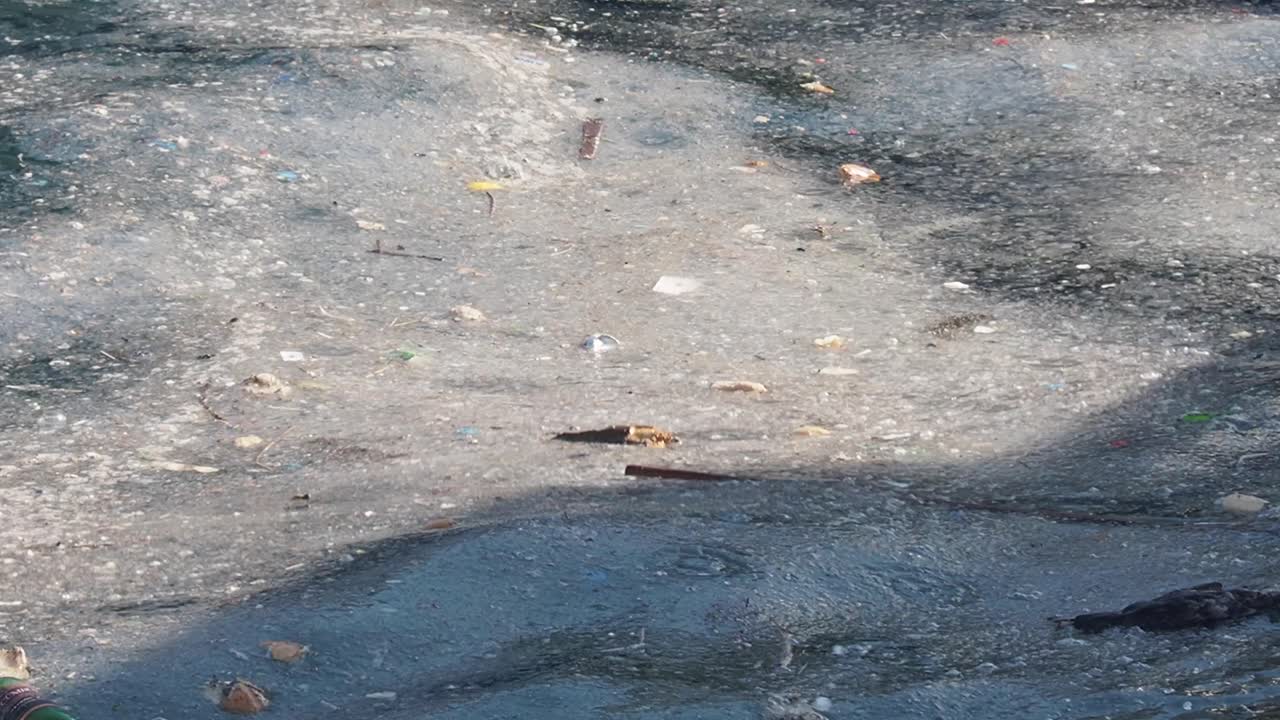 海洋プラスチック汚染