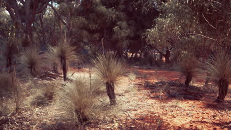 prado de sabana y el bosque