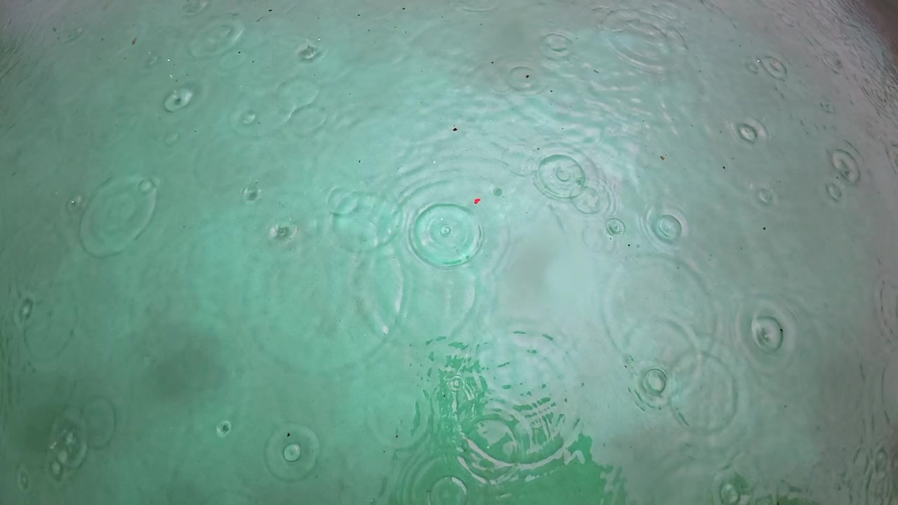 Sakte film av regndråper som drypper ned i grunt grønt vann, naturbakgrunn.