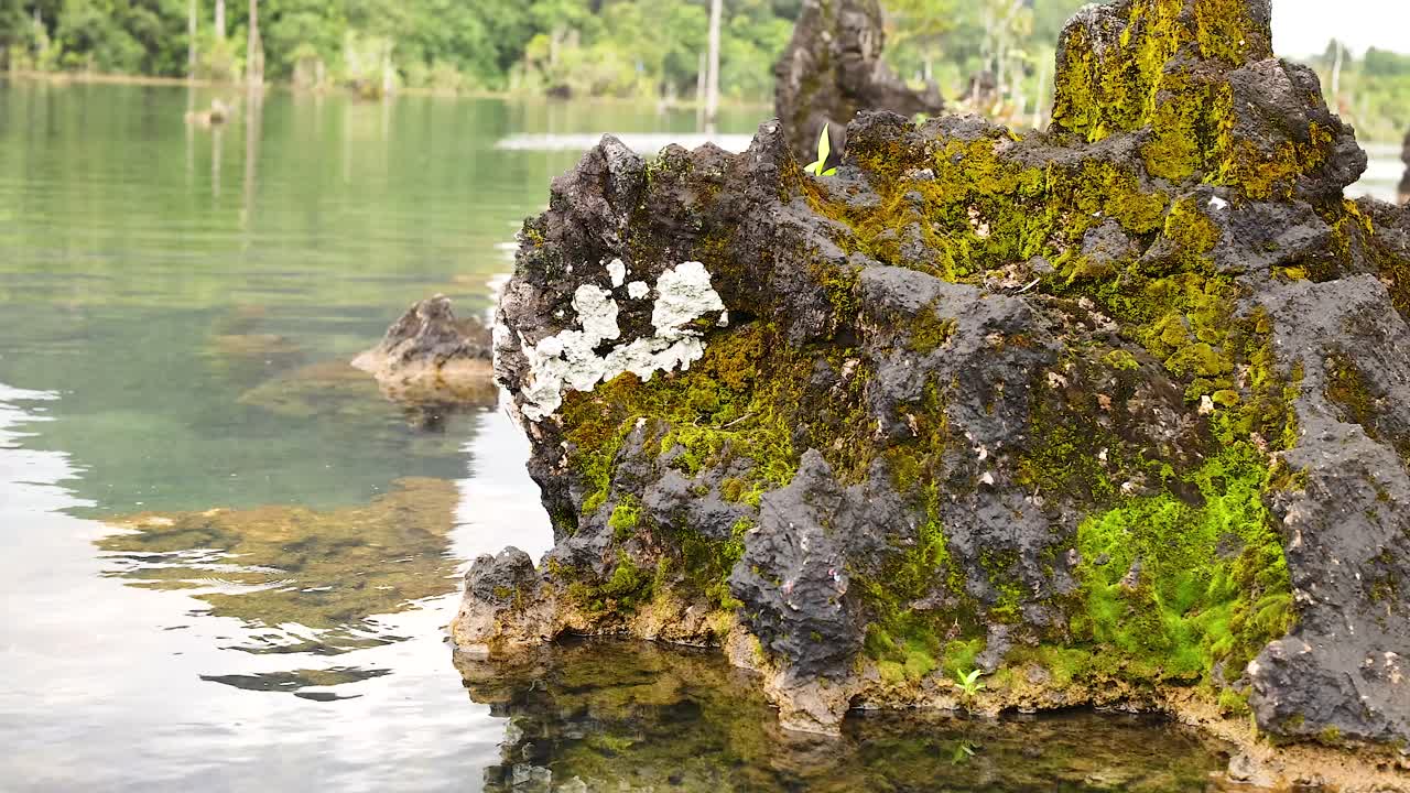 조용한 물 운하 에 있는 바위 형태