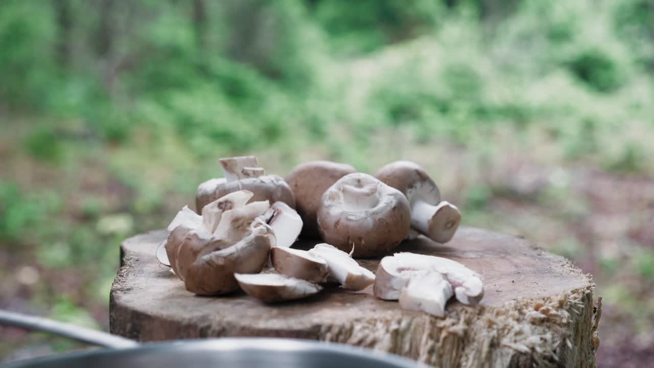 Bushcraft cooking in the forest with mushrooms, Static Shot