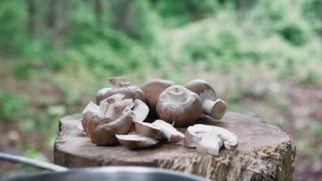 bushcraft cooking in the forest with mushrooms, static shot