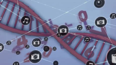 animación de redes de conexiones y procesamiento de datos sobre cadenas de adn sobre fondo blanco
