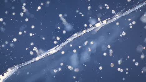 macro shot of a crack in deep blue ice