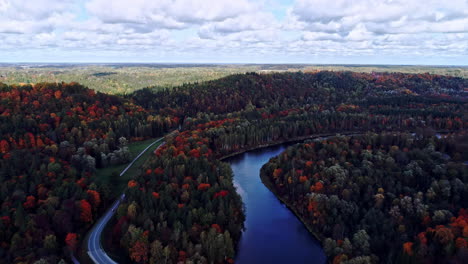 Shadow-falling-over-the-autumn-colored-trees-in-Gauja-national-Park