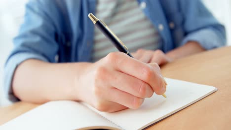 mujer de negocios escribiendo en un diario