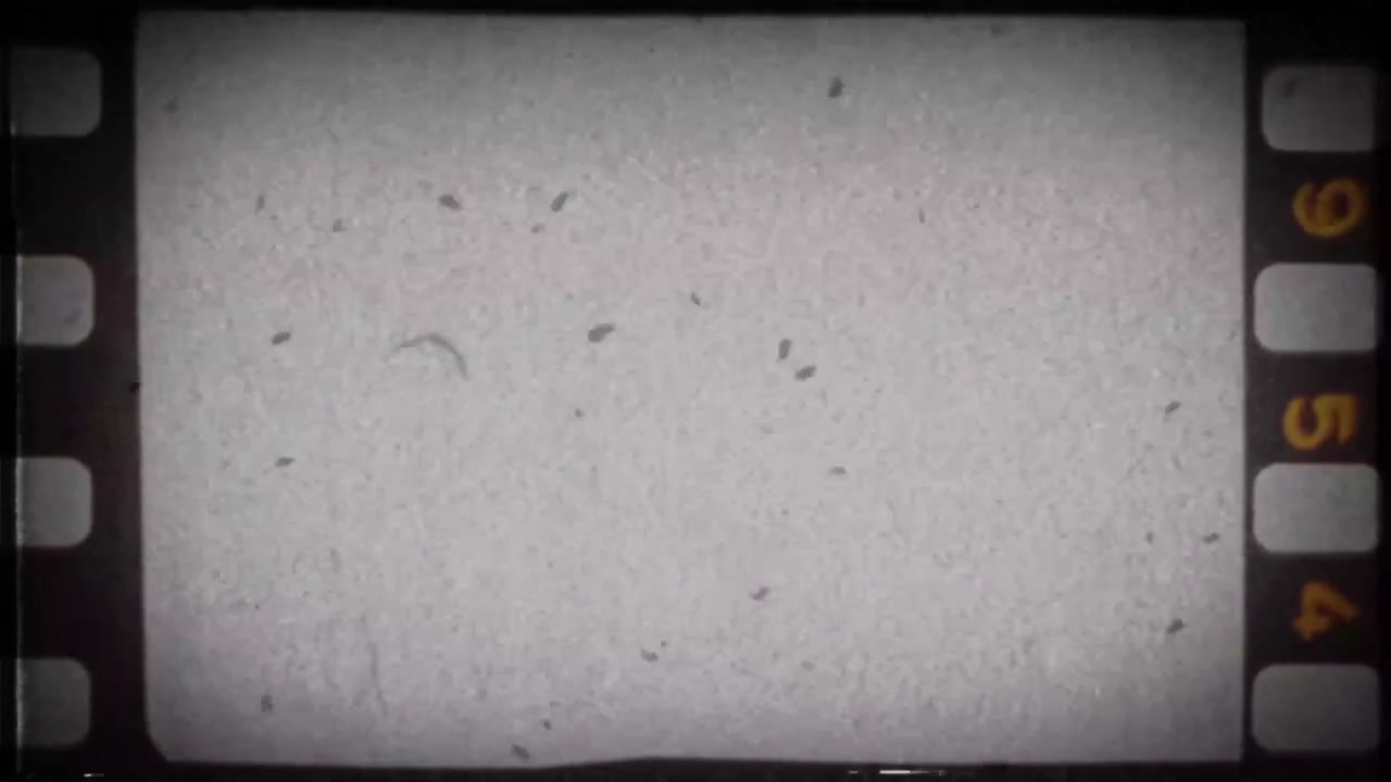 Sovrapposizione effetto pellicola vintage in bianco e nero con graffi e polvere