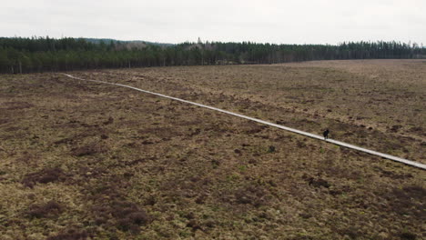 Person-Walking-on-Long-Straight-Boardwalk-Across-Marshland,-Aerial