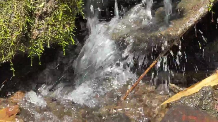 Small Waterfall Flowing Over Mossy Rocks in Nature