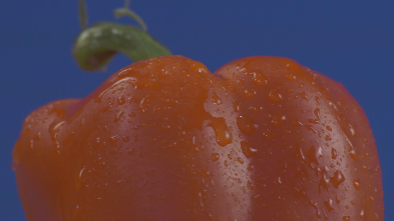 Cinematic rotation of an orange bell pepper with water droplets, vibrant color against blue background