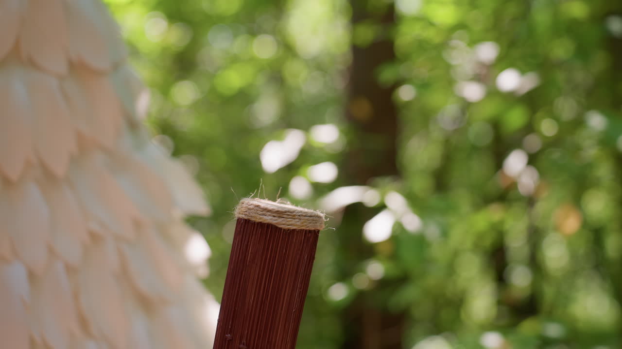 Close up of soft angel wing feathers beside wooden staff in forest sunlight, symbolizing purity, protection, peace, and spiritual connection with nature, evoking calm atmosphere