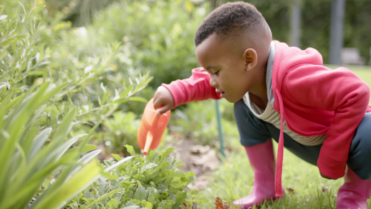 niño afroamericano regando plantas en un jardín soleado en cámara lenta