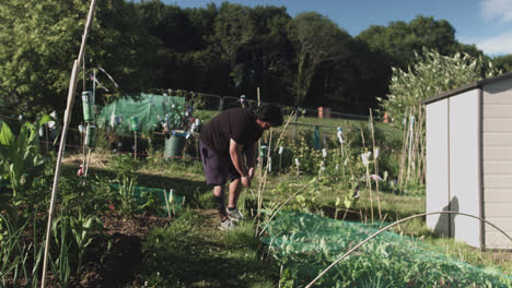 full shot of a latin man in a yard preparing a wooden stick to insert it in the soil at daytime