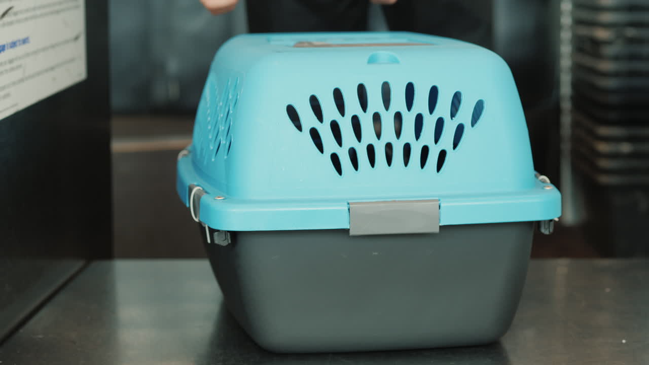 pegar una advertencia de animales vivos en un transportador de mascotas