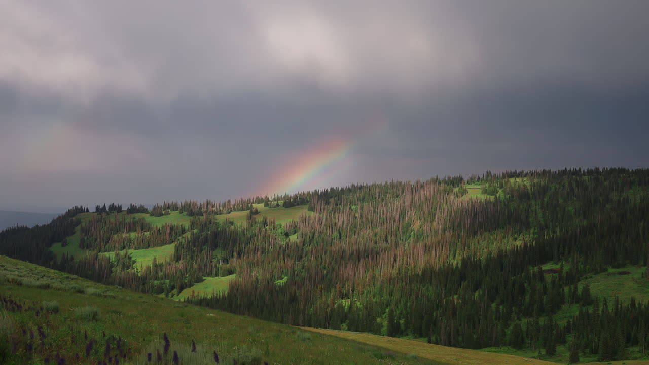Colorful Rainbow Behind Forest Mountains After The Rain. Timelapse
