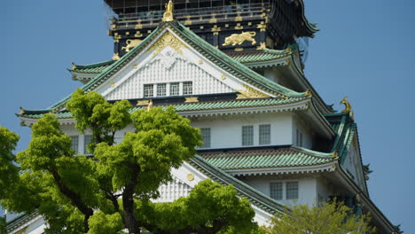 hand-held tilting shot revealing a traditional temple with stunning architecture in osaka