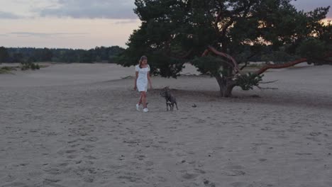 amplia vista de una mujer joven con un american staffordshire terrier caminando por un árbol en hermosas dunas de arena al atardecer
