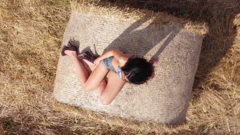 aerial shot of pretty young brunette woman posing on a bale of hay