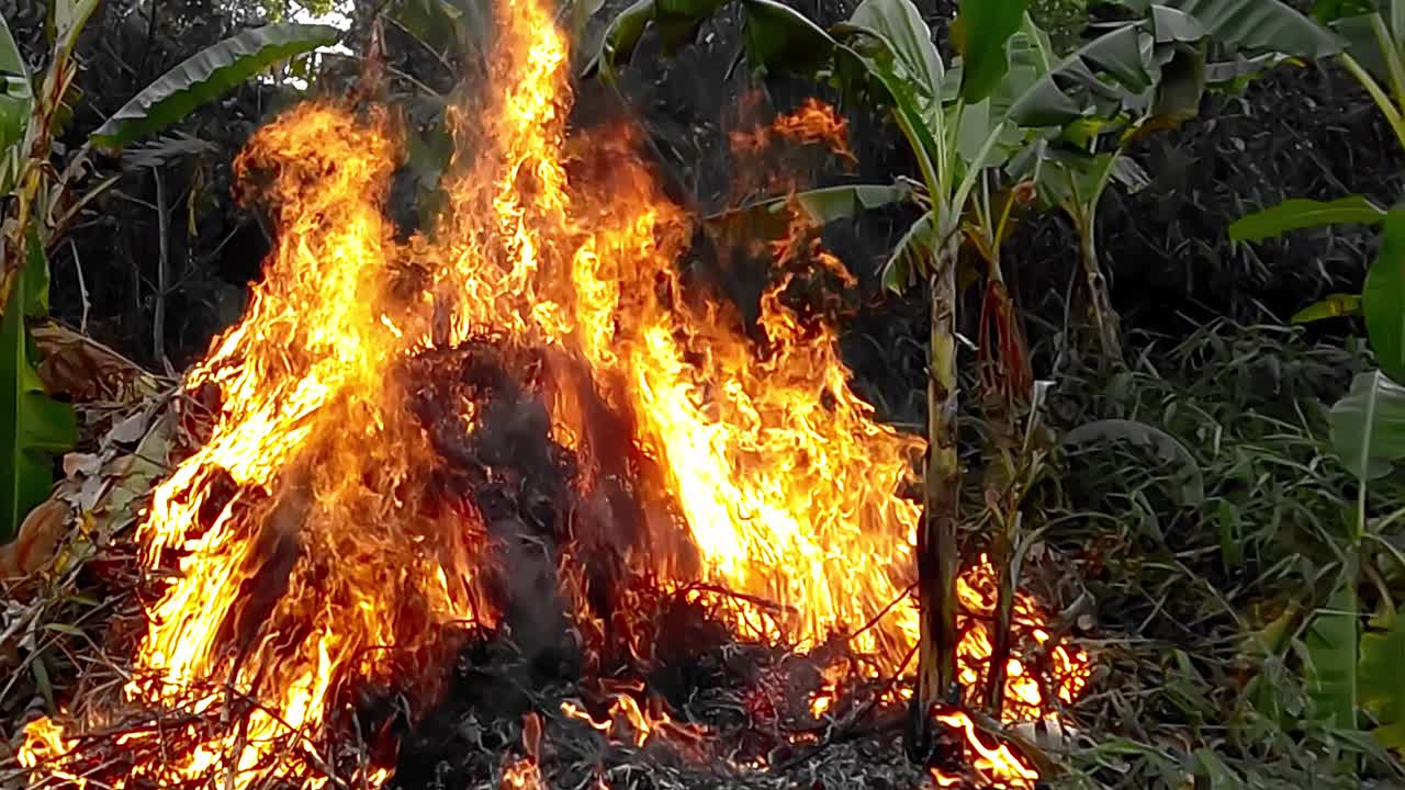 Slow motion, destroyed environment, intense heat, uncontrolled wildfire