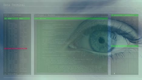 Animation-Des-Blauen-Auges-Einer-Frau-Mit-Schnell-Scrollenden-Digitalen-Informationen-Und-Weißen-Und-Grünen-Linien