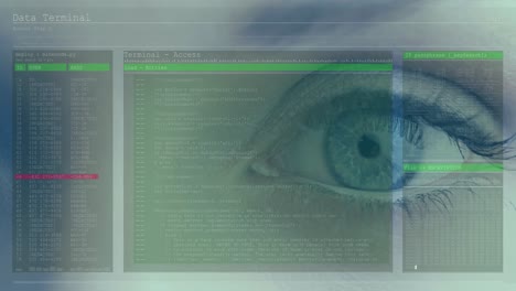 Animation of woman&#039;s blue eye with fast scrolling digital information and white and green lines