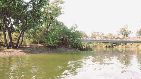 hermoso paisaje en el parque
