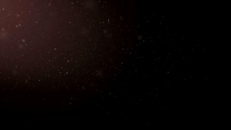 flying particles of organic dust on a black background