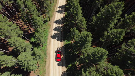 aerial view of red car on forest dirt road