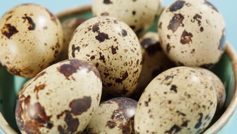 quail eggs isolated on blue background top view. healthy eating, dieting.