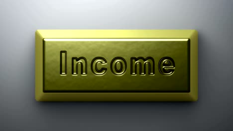 income. looping footage has 4k resolution.