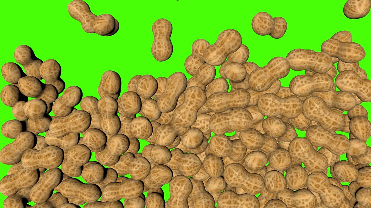 초록색 화면에서 떨어지는 3d 땅콩 애니메이션 크로마 키 배경