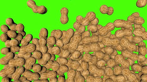 animación en 3d de cacahuetes cayendo en pantalla verde con fondo de tecla de croma