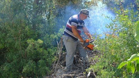 Hombre-Cortando-Madera-Con-Motosierra-Campo