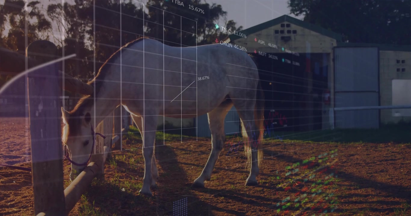 Luce solare che brilla causando l'aumento dei grafici su un cavallo bianco che pascola vicino a una recinzione, visualizzando dati finanziari.